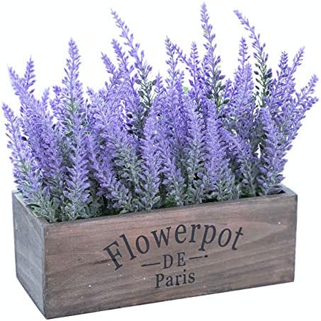 Ø§Ø´ØªØ±ÙŠ Ø§ÙˆÙ†Ù„Ø§ÙŠÙ† Ø¨Ø£ÙØ¶Ù„ Ø§Ù„Ø§Ø³Ø¹Ø§Ø± Ø¨Ø§Ù„Ø³Ø¹ÙˆØ¯ÙŠØ© Ø³ÙˆÙ‚ Ø§Ù„Ø§Ù† Ø§Ù…Ø§Ø²ÙˆÙ† Ø§Ù„Ø³Ø¹ÙˆØ¯ÙŠØ© Ù†Ø¨Ø§Øª Ø§Ù„Ø®Ø²Ø§Ù…Ù‰ Ø§Ù„Ø§ØµØ·Ù†Ø§Ø¹ÙŠ Ø§Ù„ÙØ±Ø§Ø´Ø© Craze Ù…Ø¹ Ø²Ù‡ÙˆØ± Ø­Ø±ÙŠØ±ÙŠØ© Ù„ØªØ²ÙŠÙŠÙ† Ø§Ù„Ø²ÙØ§Ù ÙˆØ²ÙŠÙ†Ø© Ù„Ù„Ø·Ø§ÙˆÙ„Ø© Ù„Ø§ÙÙ†Ø¯Ø± Ù…Ø¹ ÙˆØ¹Ø§Ø¡ Ù…Ø³ØªØ·ÙŠÙ„