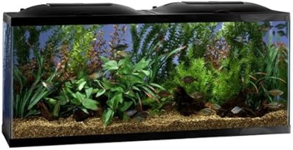 marineland 38 gallon aquarium starter kit