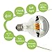 Luxon 6w G80 Led Bulb with Mirror, Half Chrome Siliver Globe Shape Bulb ,Energy Saving Warm White 2700k, Non-dimmable