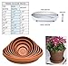Bloem Terra Plant Saucer Tray for Planters 17-24