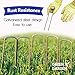 6 Inch [ 200 Pack | 11 Gauge ] Garden Landscape Staples Stakes Pins SOD | Galvanized Steel | for Weed Barrier Fabric, Ground Cover, Soaker Hose, Lawn Drippers, Drip Irrigation Tubing etc.