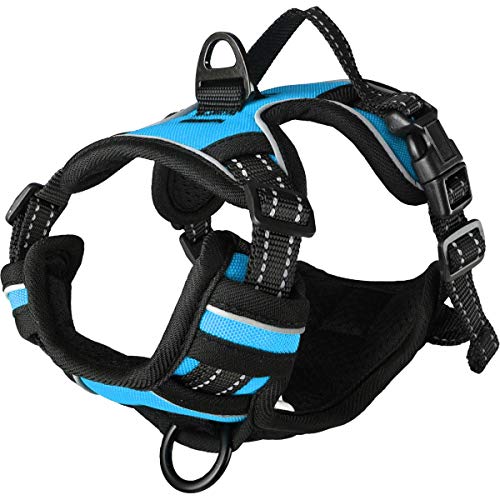 Flamingo Dog Harness Balou Blue S 31-55cm 40-55cm 20mm