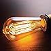 Newhouse Lighting ST64INC-6 ST64 Vintage Light Bulb 6-Pack Edison Bulbs-ST64 Style 60 Watts-Dimmable, Medium (E26) Standard Base E27-Squirrel Cage, 6-Pack, 2.7, Amber