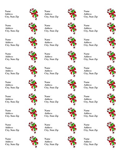 Americopy 3000 Blank Labels Name and Address Label, 2-5/8" x 1