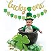 Yaaaaasss! St Patrick's Day Lucky One Banner with Lucky Four Leaf Clover Shamrock Garland for First Birthday Party Supplies Glitter Green Baby Shower Decorations