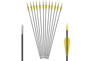 WANGQIN ARCHERY 6875 Fiberglass Arrows Archery 24/26/28/30Inch Target Shooting Safetyglass Recurve Bows Suitable for Youth Children Woman Beginner (tigerspot Yellow Vanes)