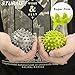 STURME Massage Ball Spiky for Deep Tissue Foot, Back, Plantar Fasciitis & All Over Body Deep Tissue Muscle Therapy - Includes Free Tutorial and Holder Ball Bag (Green)