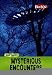 Mysterious Encounters (Out There?) by 