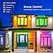 Venanoci Smart Light Bulb 2.4G(Not 5G), WiFi LED RGBCW Color Changing Bulbs 2700K-6500K with White Lights Work with Alexa, Echo, Google Home and IFTTT(No Hub Required), A19 E26 60W Equivalent-3 Pack