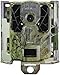SPYPOINT Cellular Trail Cameras Security Box - SB-200 Steel Security Box fits 42 LED Cellular Game Camera | Protective Heavy Duty Steel Case fit on Cell Cameras for hunting, Trail Camera Lock Box