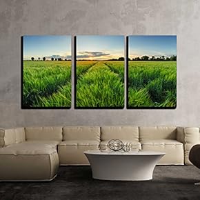 3 Piece Canvas Wall Art - Sunset Over Wheat Field with Path - Modern Home Art Stretched and Framed Ready to Hang - 16"x24"x3 Panels