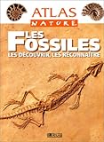 Les Fossiles. Les découvrir, les reconnaître by