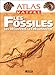 Les Fossiles. Les découvrir, les reconnaître by