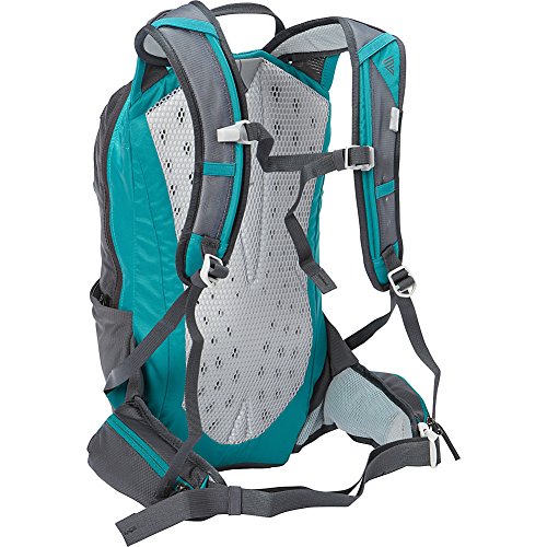 daypack 10 liter