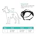 Babyltrl Lightweight No Pull Dog Harness for Medium Large Dogs, Adjustable, Easy to Wear, Reflective Design, Sturdy Handy Handle, Oxford Soft Vest for Outdoor Walking(L, Black)