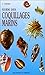Guide des coquillages marins by