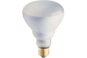Philips Phillips Soft White 65-Watt BR30 Indoor Flood Light Bulb, (12 Pack)