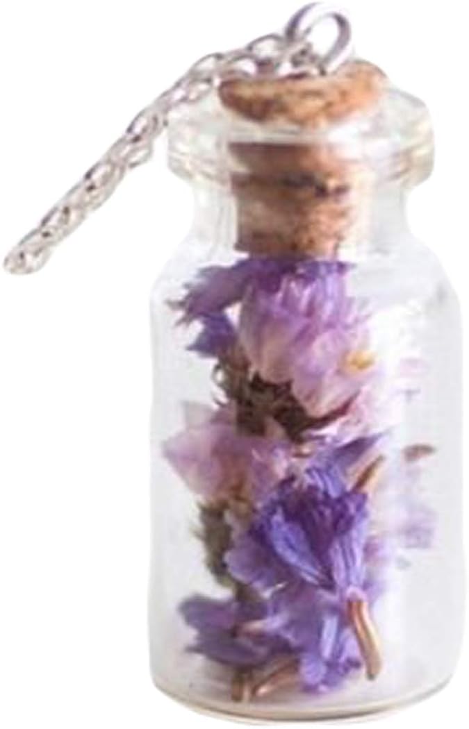 Mini Dried Limonium Flower Glass Bottle Necklace Lavender Mori Girl Violet Purple Forget Me Not Natural Statice Amazon Co Uk Jewellery