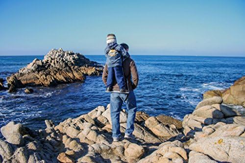 Piggyback Rider - Deluxe Child Carrier up to 60lbs