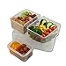 EcoNaturel Bento Lunch Box Kids & Adults; Leakproof Meal Prep Container with 3 Removable Perfect Size Compartments Plus Snack/Soup Container; BPA Free Reusable Portion Control; Food storage Container