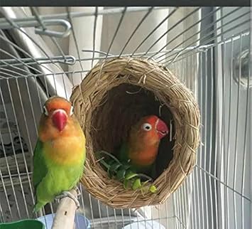 Amazoncom Rainbowrose Birds Nest House Natural
