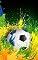 Livro O Futebol no Brasil: Copa