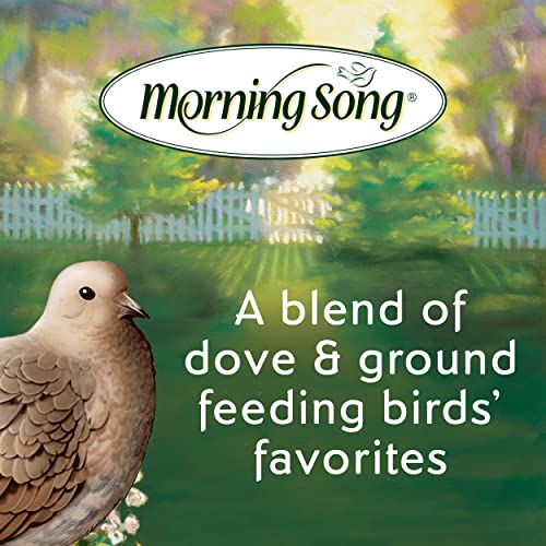 Morning Song Dove & Ground Feeding Wild Bird Food, Quail, Pigeon and