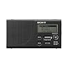 Sony XDRP1DBPB.CE7 Zakradio, Dab/Dab+, 20 uur accu, Zwart