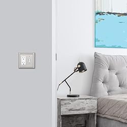 DEWENWILS Combo Toggle/Decorator Wall