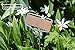GardenMate 25-Pack Weatherproof Banner Copper Metal Plant Labels, Height 10.5
