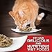 Hill's Science Diet Hairball Control, Senior Adult 7+, Hairball Control Support, Dry Cat Food, Chicken Recipe, 3.5 lb Bag