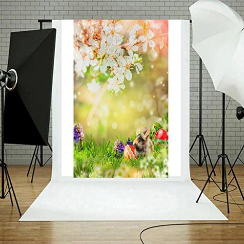 DreamsMAX Easter Day Theme Vinyl Fabric Custom Photo 3D Pattern Pictorial cloth photography Backdrop Background studio prop (E)
