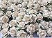 Thai Decorated 100 pcs Mini Roses White Color 15 mm Mini Paper Flowers Mulberry Paper Flowers Scrapbooking Embellishment Wedding Card Supplies Mini Paper Roses White
