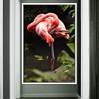 Framed Canvas Wall Art Single Bird Birds Expressive Farmhouse/Country Multicolor Photography Portrait Single - 16x24 inches