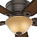 Hunter Fan Company, 51023, 42 inch Conroy Onyx Bengal Low Profile Ceiling Fan with LED Light Kit and Pull Chain