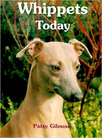 Whippets Today �n�[�h�J�o�[  - 1994/9/1