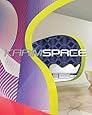 KarimSpace: The Interior Design and Architecture of Karim Rashid