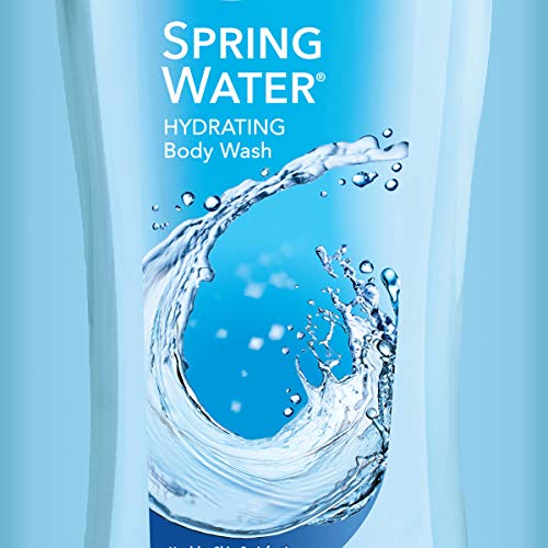 Dial Body Wash, Spring Water, 21 Ounce (Pack of 4) - //coolthings.us