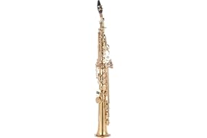 Btuty Brass Straight Soprano Sax Saxophone Bb B Flat Woodwind Instrument Natural Shell Key Carve Pattern with Carrying Case Gloves Cleaning Cloth Straps Cleaning Rod