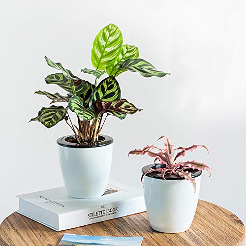 Mkouo 3 Stück Blumenkübel Blumentopf Pflanzkübel Pflanztopf aus Kunststoff 14cm Diamètre - Weiß M – Bild 3