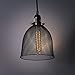 Rustic State Industrial Retro Style Mesh Wire Cage for Pendant Ceiling Lamp (Black)