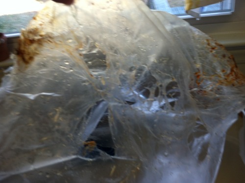 User review photo