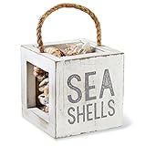 Mud Pie Mango Wood Shell Treasure Box, Sea