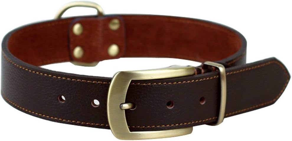 Rantow Comfortable Padded Handmade Leather Classic Dog Collar - Neat Sewing and Tough Copper Dog Leash Buckle Collar for Medium/Small Dogs