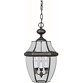Forte Lighting 1605-03-14 Traditional 3-Light Exterior Hanging Lantern with Clear Beveled Glass, Royal Bronze Finish