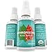 USDA Certified Organic Rose Water Face Spray by ANTHROPOSOPHE: Certified by USDA & ECOCERT; Anti-Aging, Moisturizing & Pore Minimizing Toner, 4 fl. oz.