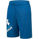 Under Armour Boys' Prototype 2.0 Logo Shorts