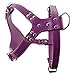 Didog Purple Leather Dog Training Walking Hiking Running Sports Spiked Studded Vest Harness for Large X-Large Dogs Chest Girth 23.5-34