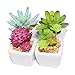Myartte Home Decor Artificial Shrubs-Set of 4 Different Artificial Succulent Plant for Home Decoration Office Decoration (4A Ceramic Pot)