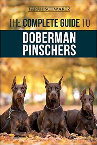 The Complete Guide to Doberman Pinschers: Preparing for, Raising, Training, Feeding, Socializing, and Loving Your New  �y�[�p�[�o�b�N - 2021/1/5